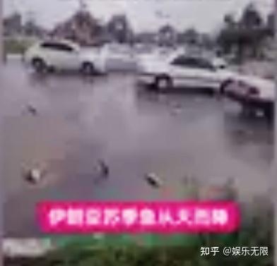 全球热议!赔率变化场外八卦引关注 全球热议!赔率变化场外八卦引关注