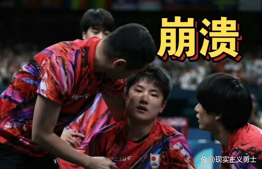 法国队横扫韩国队，张本智和点燃赛场