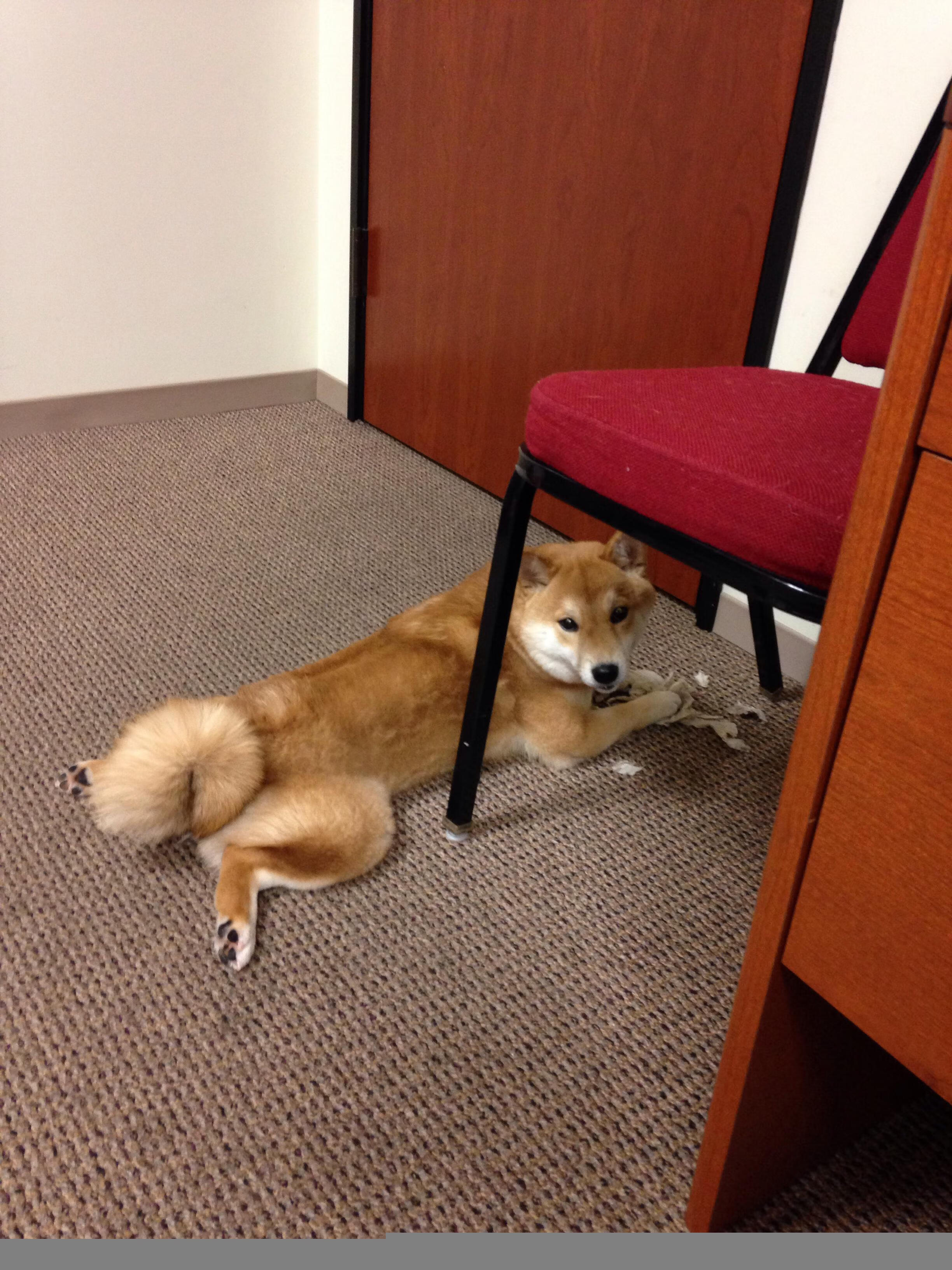 跨界之战,灰熊轻取广东,伦纳德一锤定音演绎友谊赛关键先生