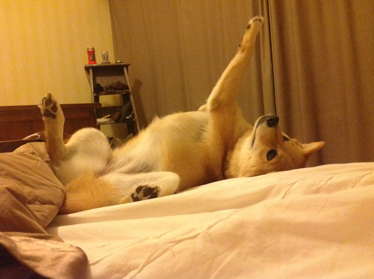 新王登基，铁壁如山，马丁内利一锤定音，乌拉圭窒息式防守锁定胜局