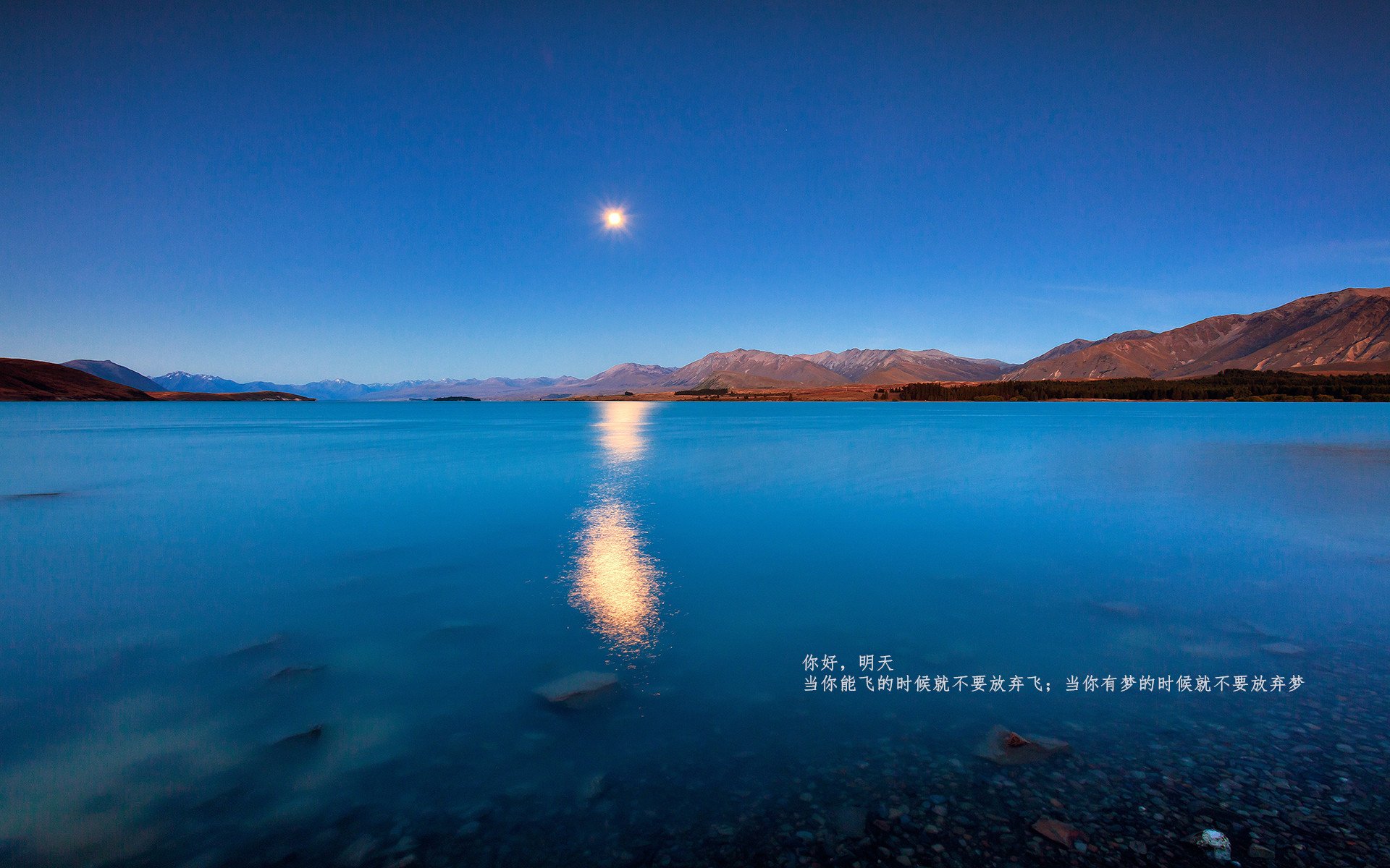 风车与风笛的变奏，当格列兹曼引擎点燃荷兰的F1式夺冠征程