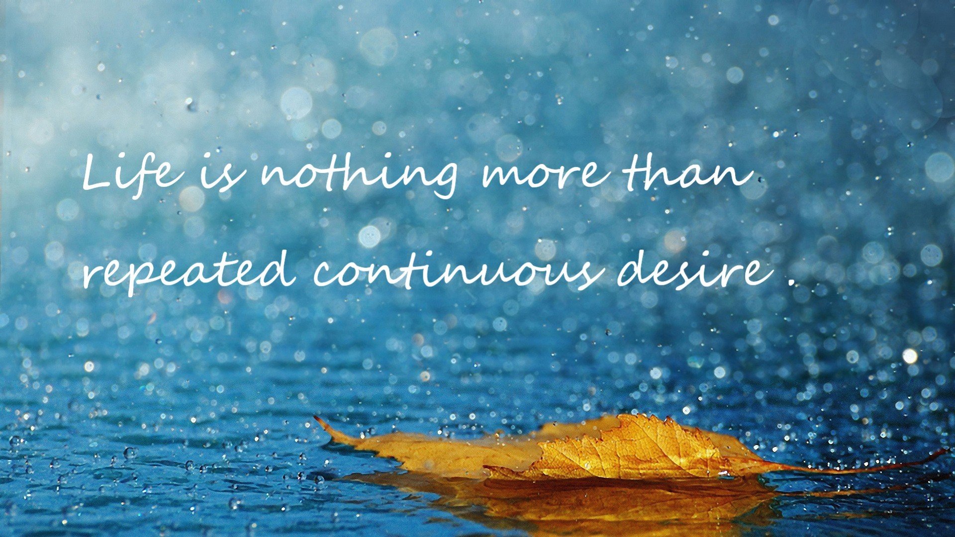 风车与风笛的变奏，当格列兹曼引擎点燃荷兰的F1式夺冠征程