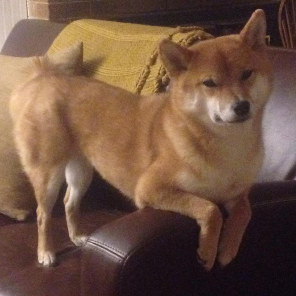 同一片星空下，印第安纳波利斯的团队圆舞曲与马德里的孤胆英雄诗