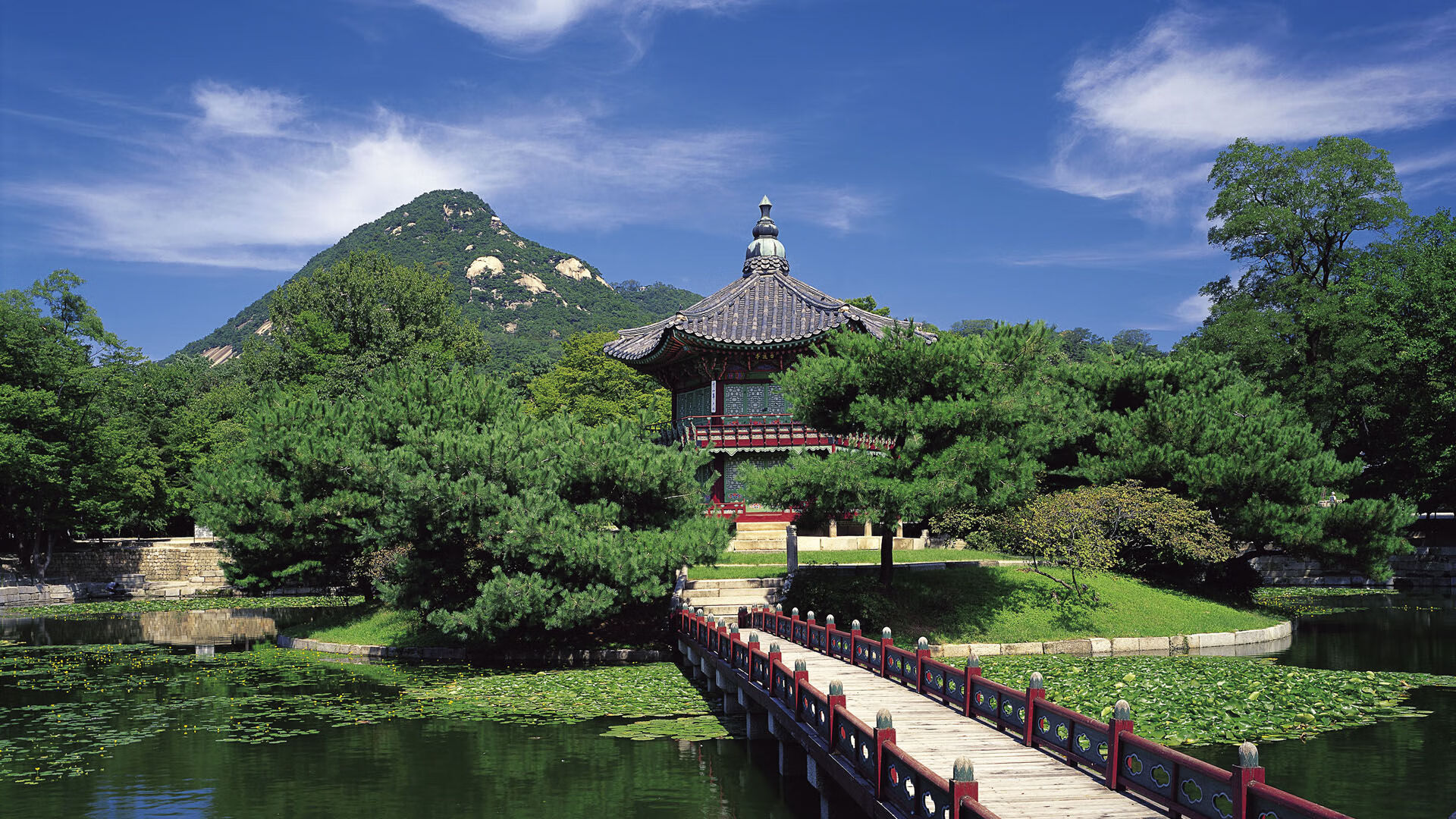 太阳驯鹈鹕，节奏为缰，哈登作魂