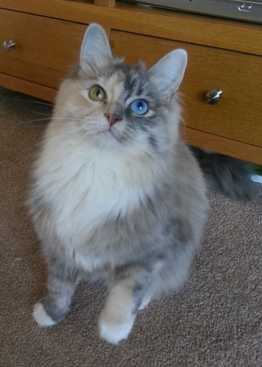 跨越太平洋的火花，拉文攻防转换艺术与热火体系如何压制山西男篮