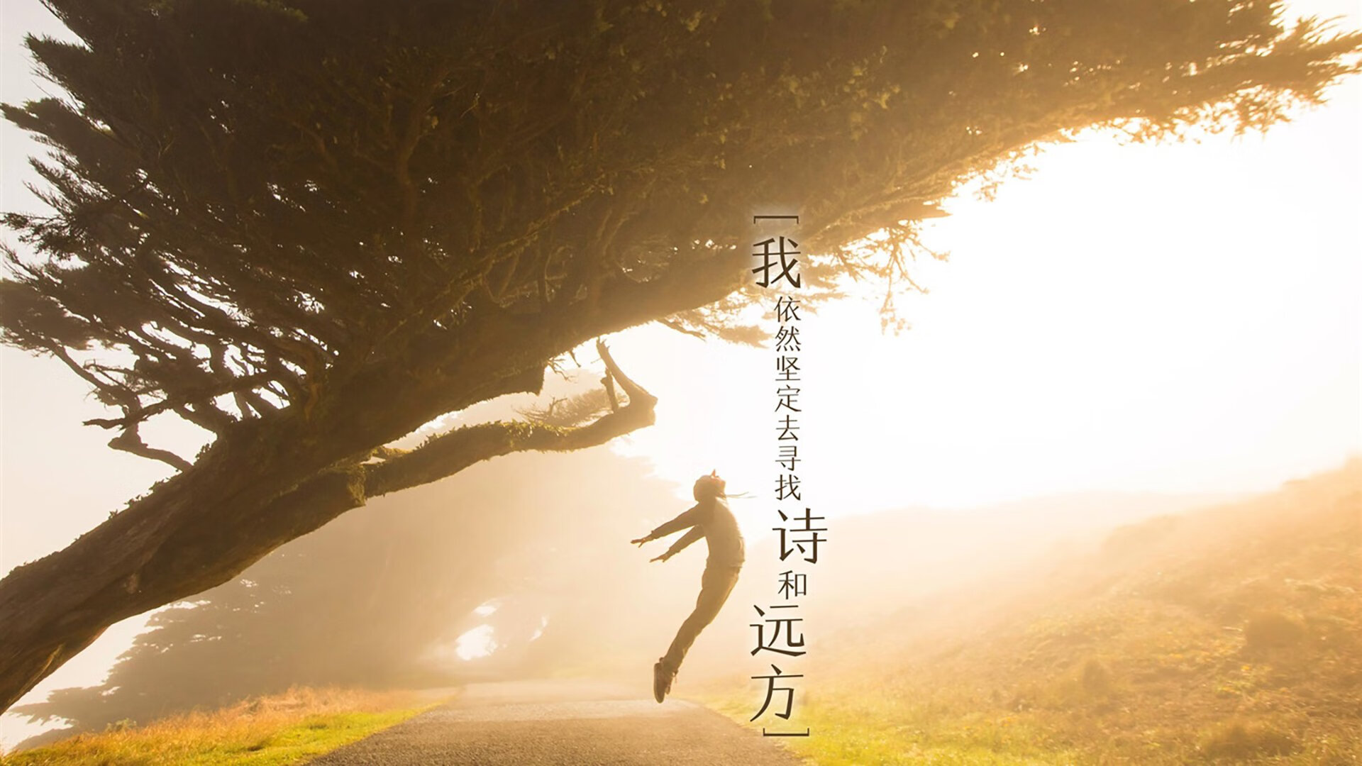 双线绝杀，广东一波流席卷纽约，切特在F1压轴弯道接管争冠战