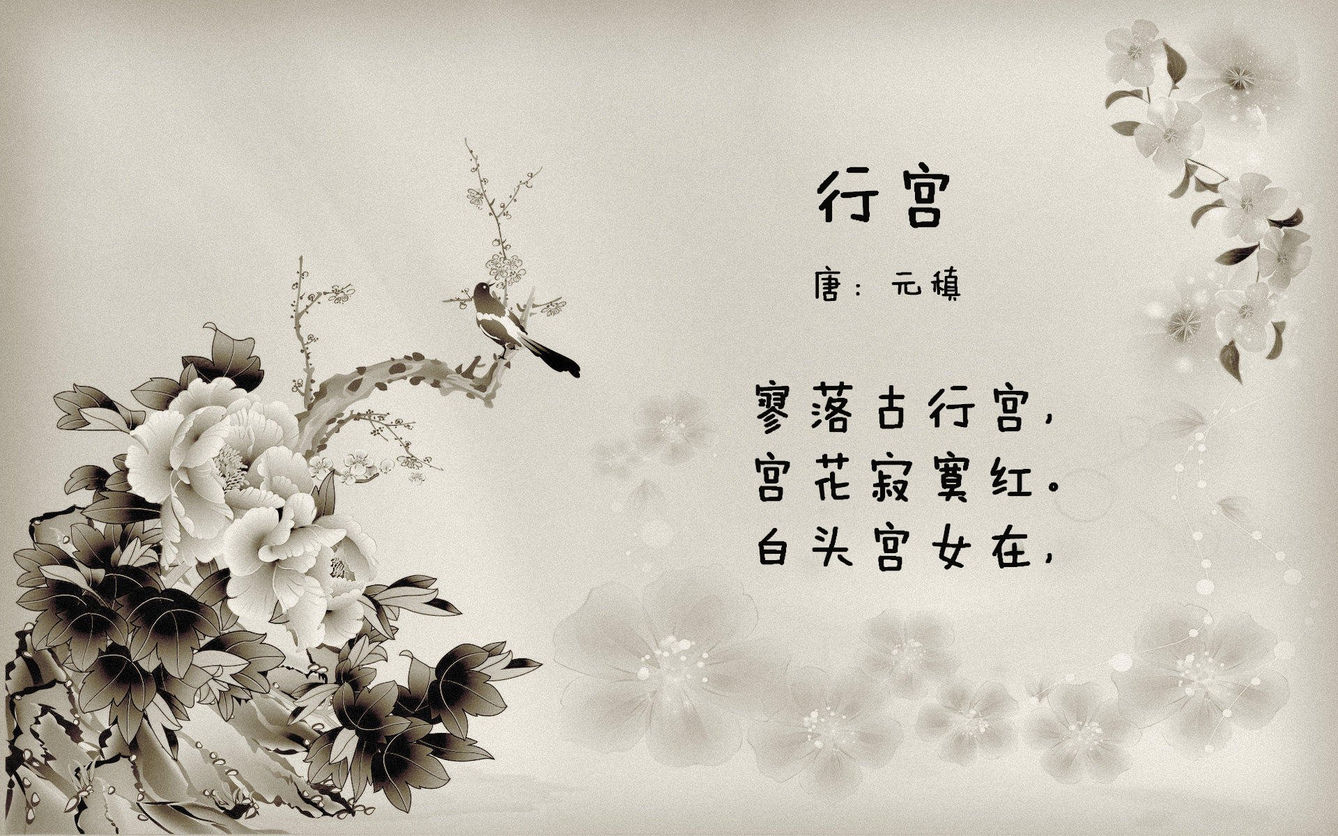 利拉德神勇主宰战局，森林狼闪电战击溃76人