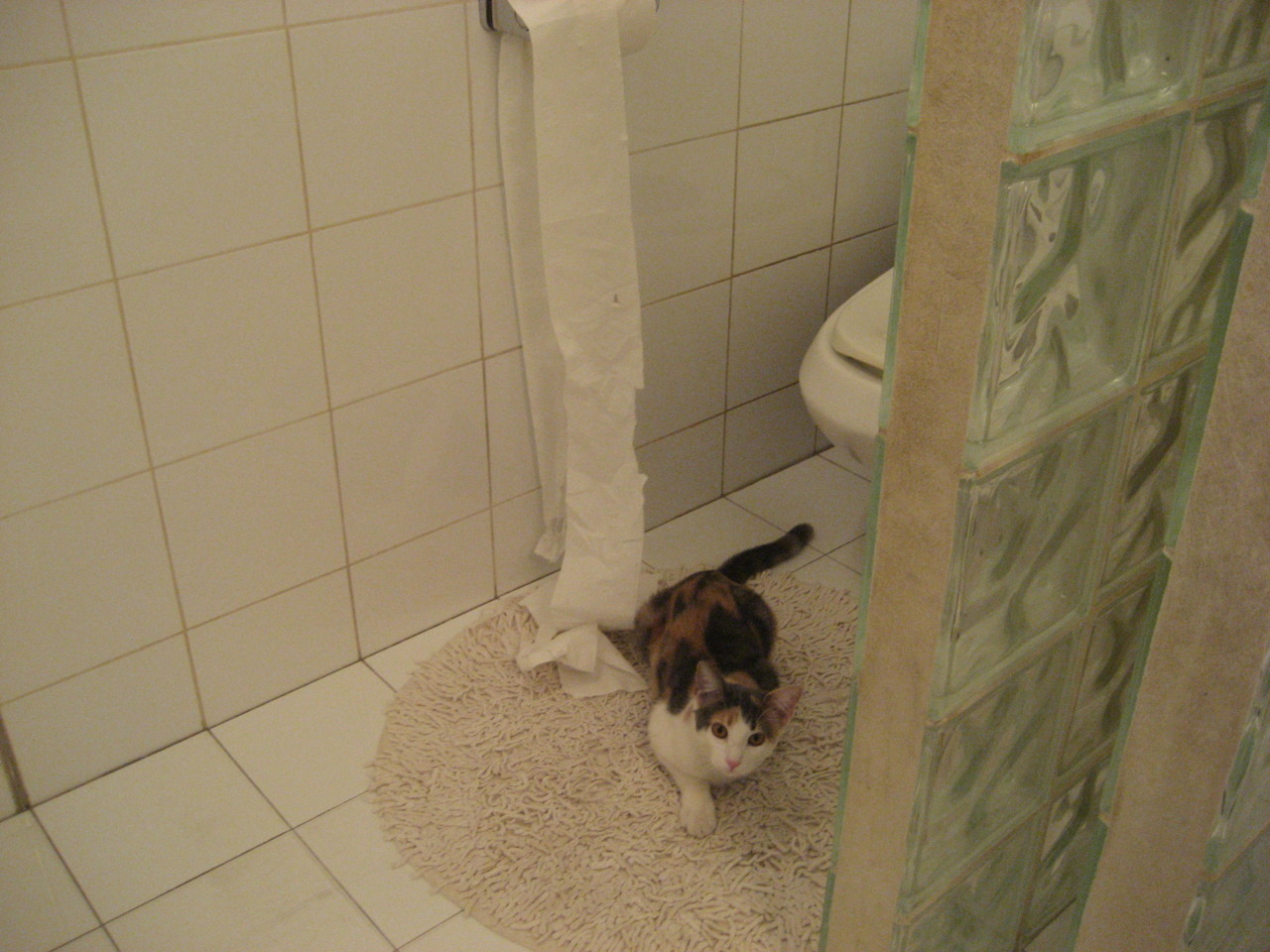 西决生死战焦点战，皇家社会的封锁与中国的突围之路