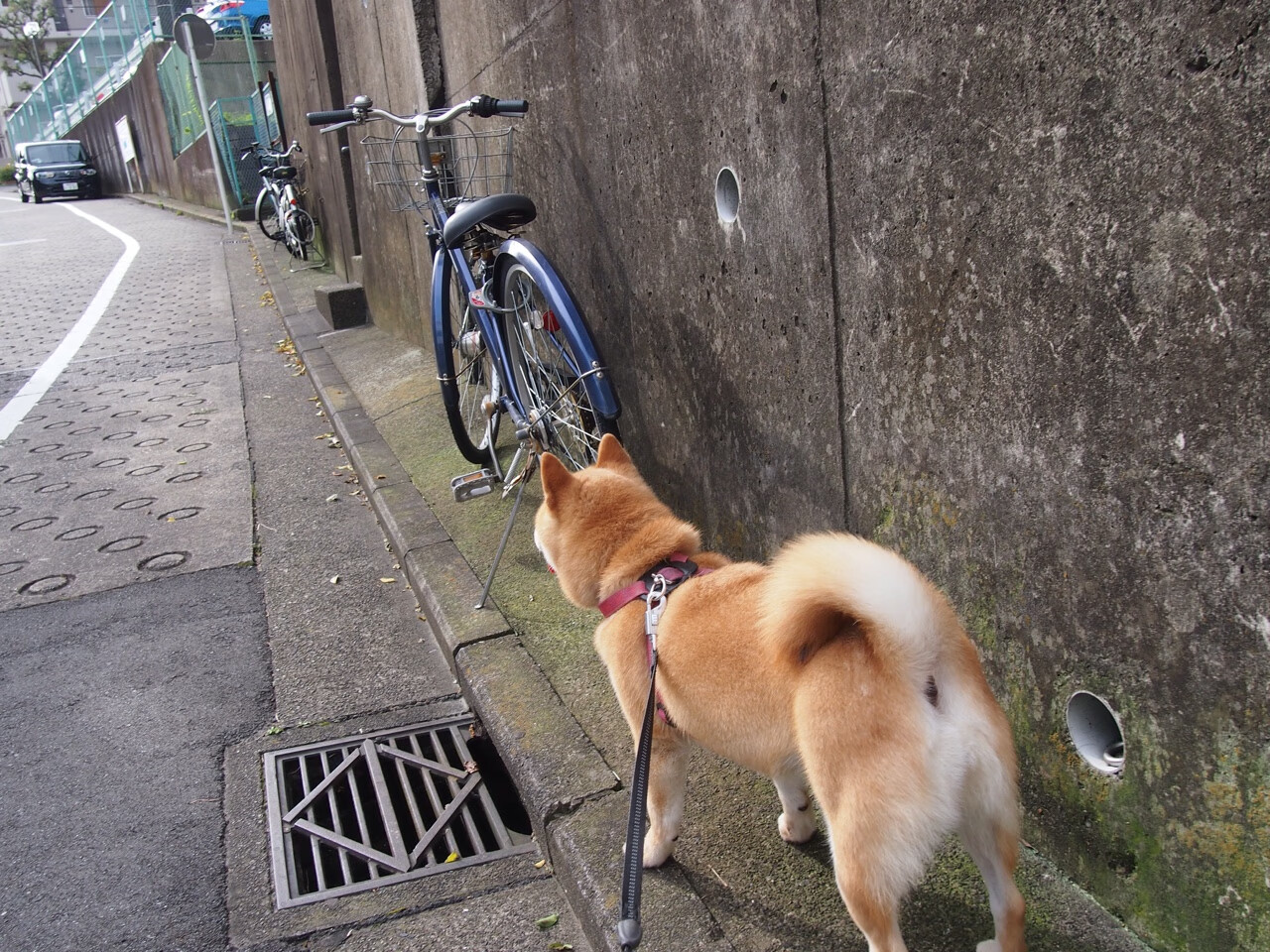 东决关键战之夜，班凯罗一声不响，投出最响亮的宣言