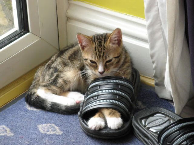 绿茵场上的唯一解，当意甲常青树压制山姆大叔，亚洲铁闸如何改写游戏规则？