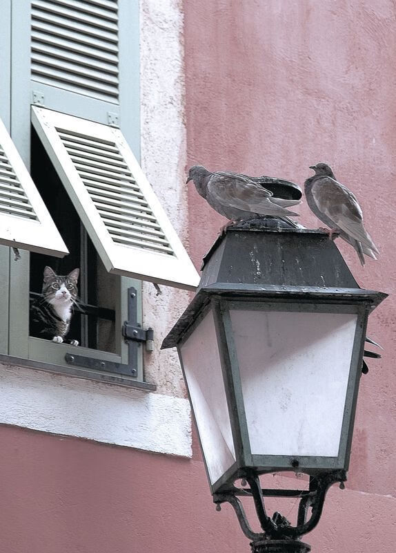 慢板乐章，哈登的节奏美学，如何定义年度焦点之战