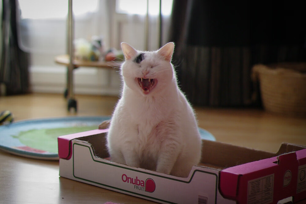 西甲国家德比焦点战,巴萨黄蜂式闪电战击溃皇马火箭攻势