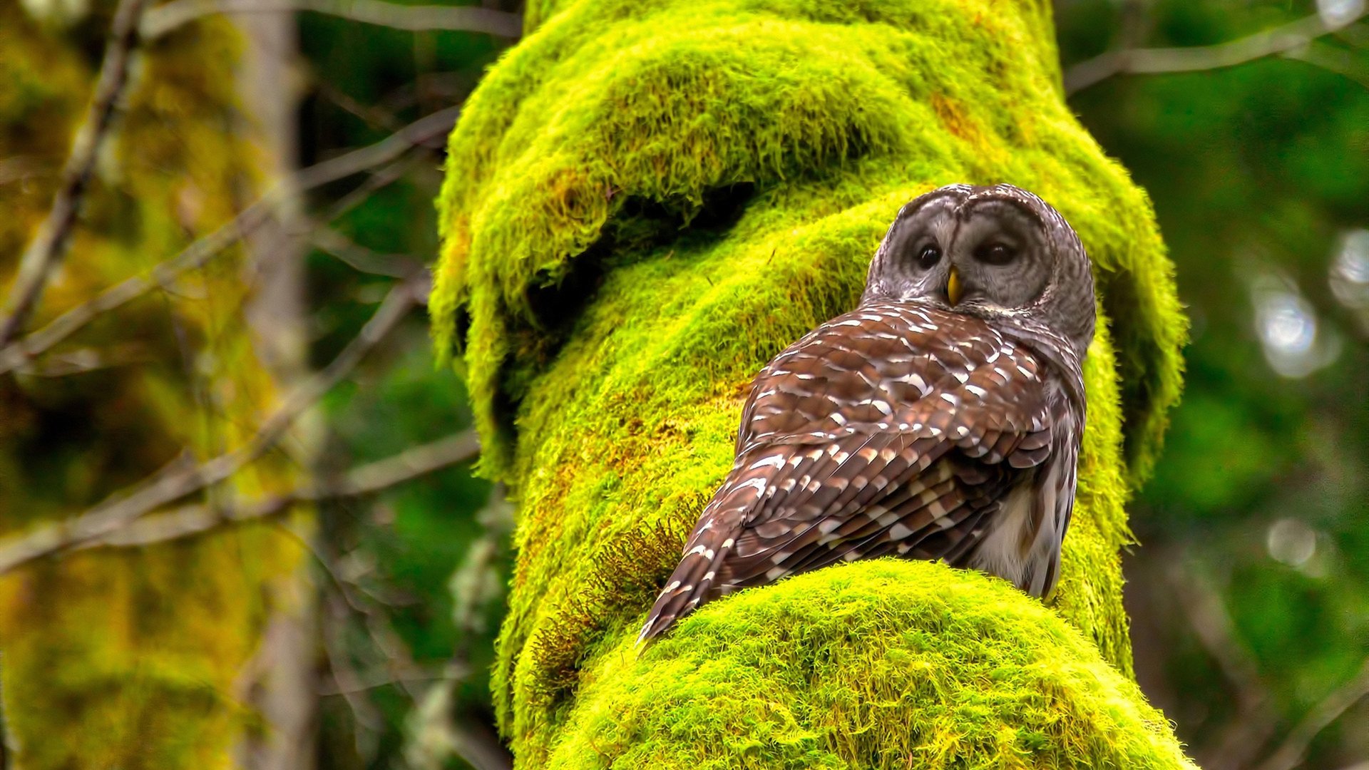 爱游戏体育-时空对局，广东末节42分风暴 提前三小时终结骑士西决悬念