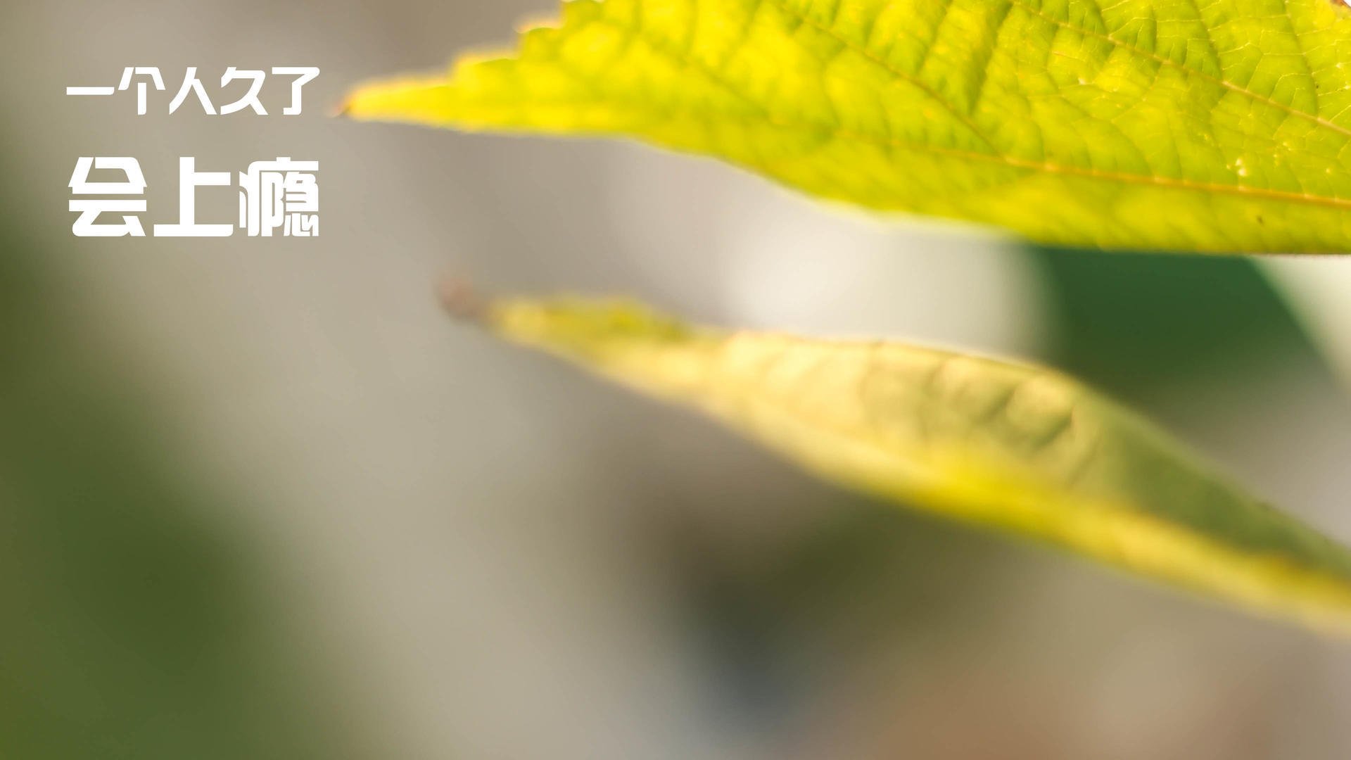 红白哲学,摩纳哥式战术如何钳制三狮军团,以及格列兹曼的终极答案