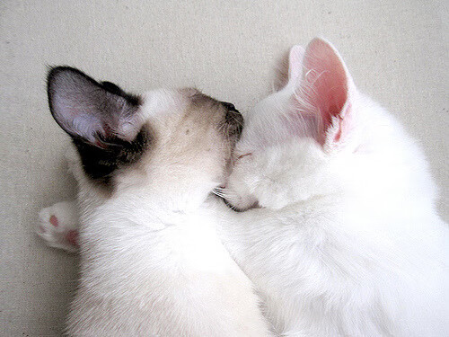 劳塔罗的火焰与塞维利亚的暗涌，绿茵场上两种决定性的力量