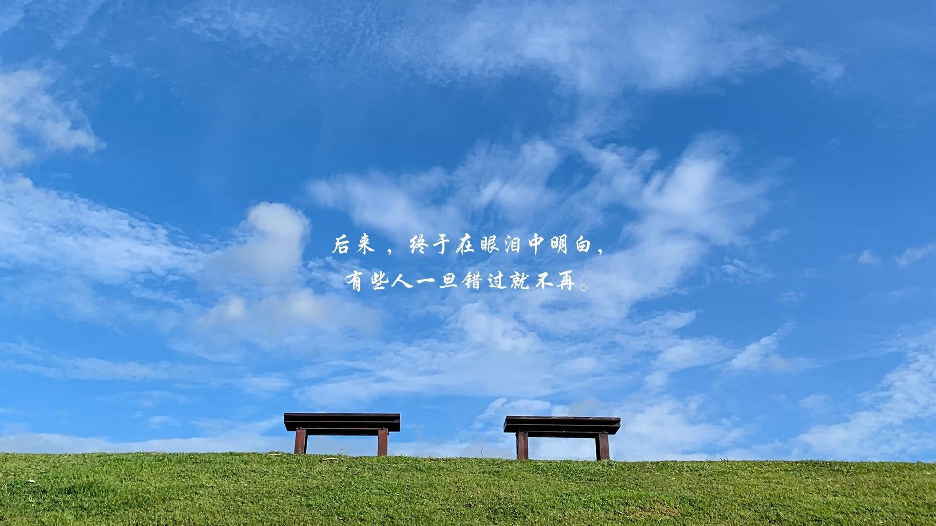 2026复仇之火，突尼斯逆转葡萄牙，三笘薰的亚洲之光点亮世界杯