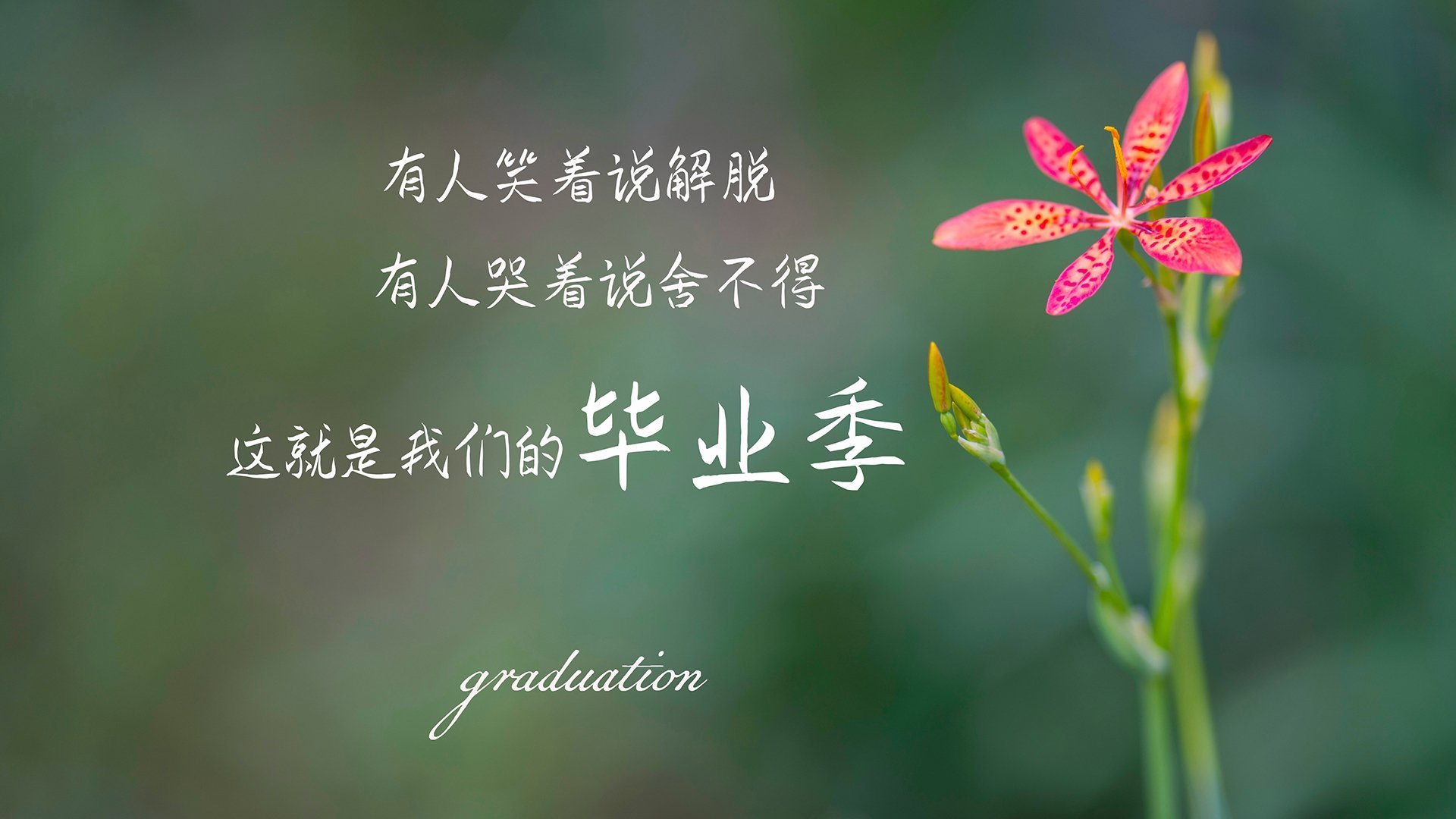 黑马狂奔，阿诺德致命一击，哥斯达黎加横扫波兰，改写世界杯争冠史的唯一奇迹