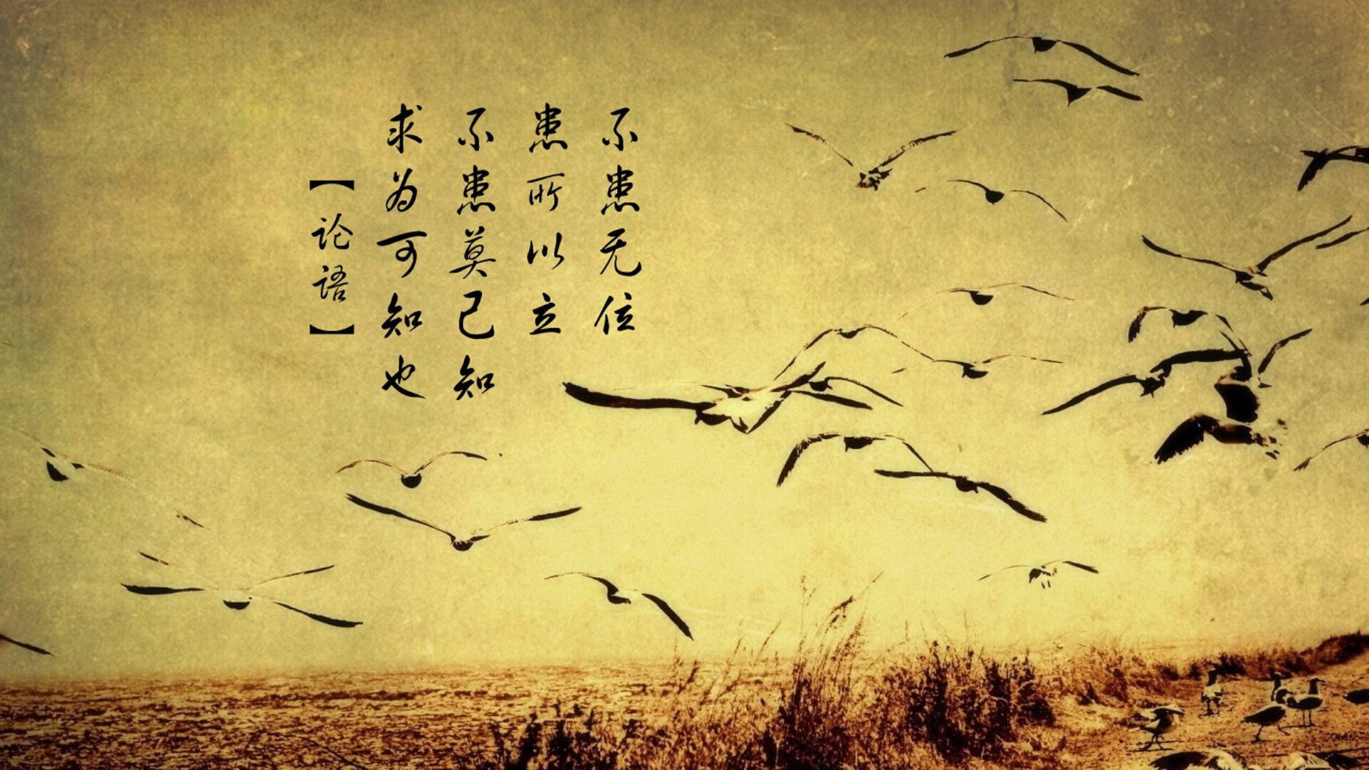 冰与火之歌,当印度洋暖流撞上北欧冰墙,久保建英在G组写下唯一解